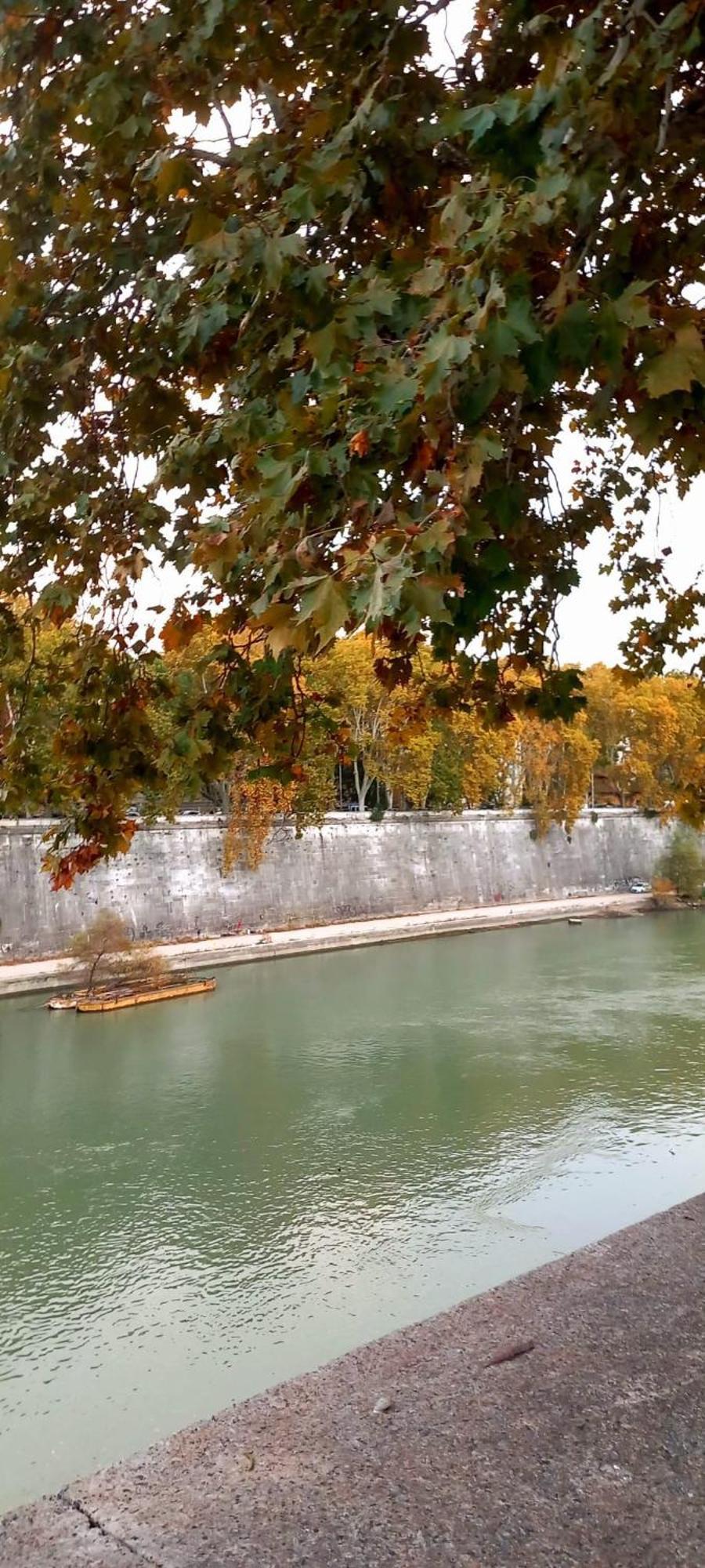 Riversidemellini44 Roma Esterno foto
